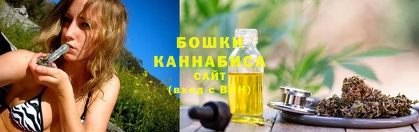 бошки Заводоуковск