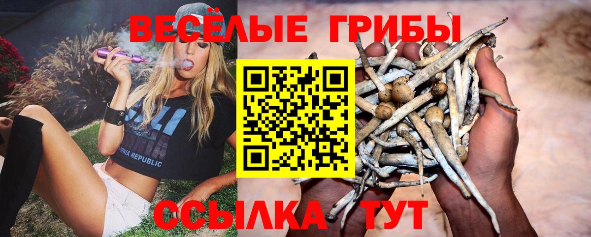 Соль-Илецк  Псилоцибиновые грибы MAGIC MUSHROOMS  Вход с VPN 