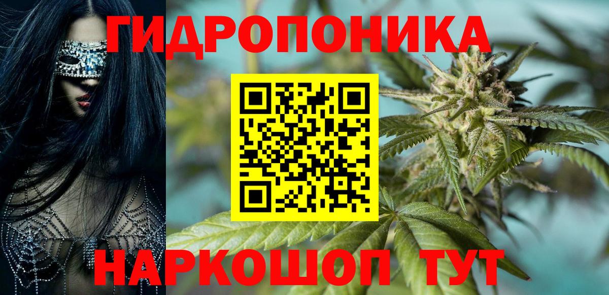 Конопля сатива Соль-Илецк